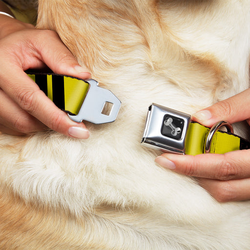 Dog Bone Seatbelt Buckle Collar - Hash Mark Stripe Double Gold/Black Seatbelt Buckle Collars Buckle-Down   