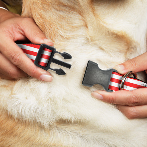 Plastic Clip Collar - Triple Stripe White/Red Plastic Clip Collars Buckle-Down   