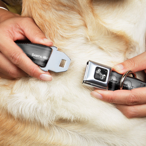 Dog Bone Seatbelt Buckle Collar - Vivid SANTA MONICA Pier Skyline Grays/White Seatbelt Buckle Collars Buckle-Down   