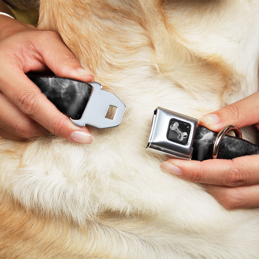 Dog Bone Seatbelt Buckle Collar - Smoke Black/Grays Seatbelt Buckle Collars Buckle-Down   