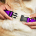 Plastic Clip Collar - Neon Purple Plastic Clip Collars Buckle-Down   