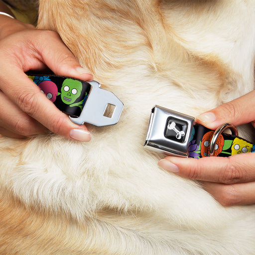 Dog Bone Seatbelt Buckle Collar - Skulls & Flowers Black/Multi Color Seatbelt Buckle Collars Buckle-Down   