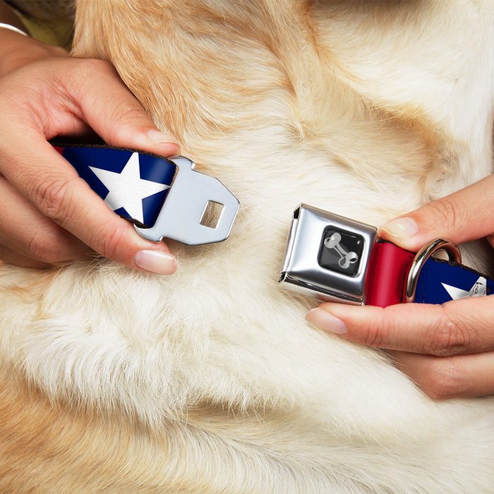 Dog Bone Seatbelt Buckle Collar - Stars & Stripes Ribbon Red/Blue/White Seatbelt Buckle Collars Buckle-Down   