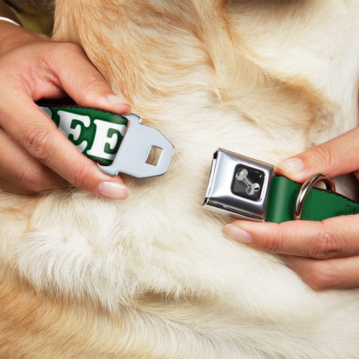 Buckle-Down Seatbelt Buckle Dog Collar - I "Clover" BEER/Clover Outlines Greens/White Seatbelt Buckle Collars Buckle-Down   