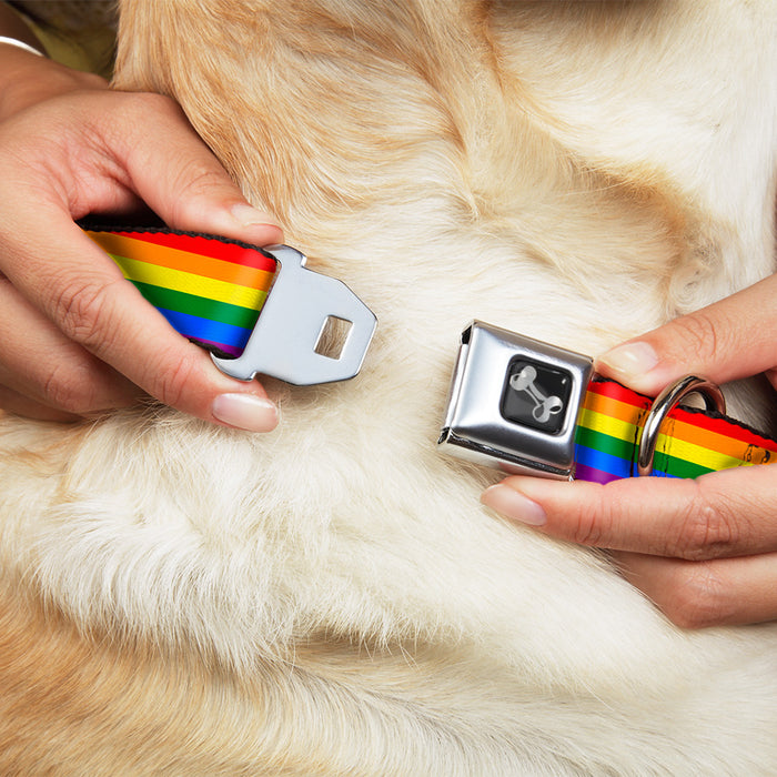 Dog Bone Seatbelt Buckle Collar - Flag Pride Rainbow Seatbelt Buckle Collars Buckle-Down   