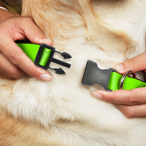 Plastic Clip Collar - Neon Green Plastic Clip Collars Buckle-Down   