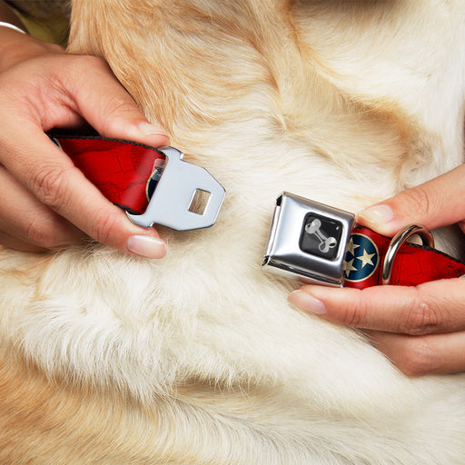 Dog Bone Seatbelt Buckle Collar - Tennessee Flag Stars CLOSE-UP Distressed Seatbelt Buckle Collars Buckle-Down   