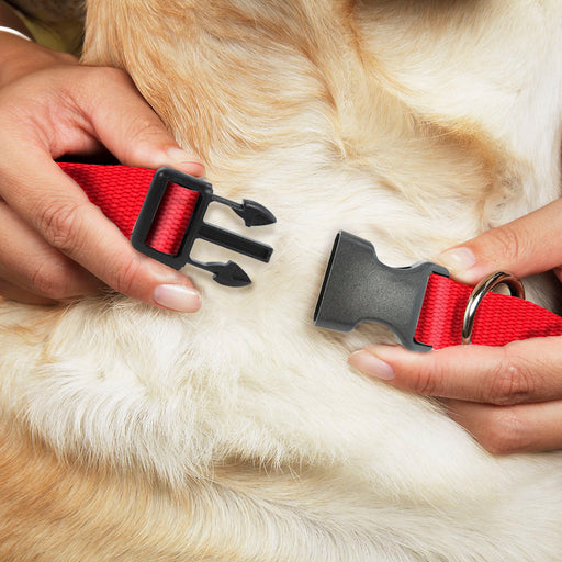 Plastic Clip Collar - Red Nylon Plastic Clip Collars Buckle-Down   