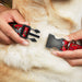 Plastic Clip Collar - Lucky Red Plastic Clip Collars Buckle-Down   
