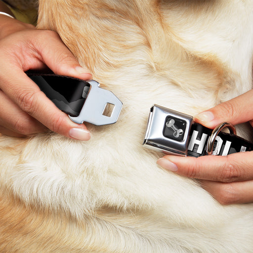 Dog Bone Seatbelt Buckle Collar - HOLLYWOOD Sign Skyline Black/Grays/White Seatbelt Buckle Collars Buckle-Down   