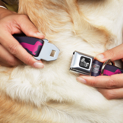 Dog Bone Seatbelt Buckle Collar - Dachshunds & Bones Purple/Fuchsia/Green Seatbelt Buckle Collars Buckle-Down   