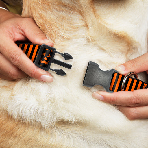 Plastic Clip Collar - Jack-o'-Lantern Pumpkin Stripe Orange/Black Plastic Clip Collars Buckle-Down   