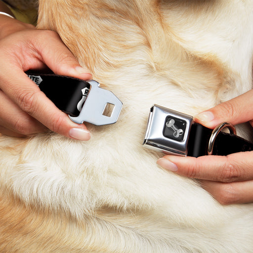 Dog Bone Seatbelt Buckle Collar - ROUTE 66 Highway Sign Repeat Black/White Seatbelt Buckle Collars Buckle-Down   