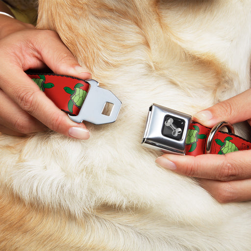 Dog Bone Seatbelt Buckle Collar - Sea Turtles Red/Green Seatbelt Buckle Collars Buckle-Down   