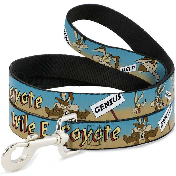 Dog Leash - WILE E. COYOTE Expressions/Signs Desert Dog Leashes Looney Tunes   