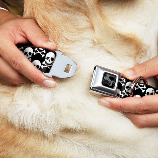 Dog Bone Black/Silver Seatbelt Buckle Collar - Skull & Cross Bones Staggered Black/White Seatbelt Buckle Collars Buckle-Down   