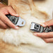 Dog Bone Seatbelt Buckle Collar - Americana Federal Reserve Seal Weathered Gray/Black Seatbelt Buckle Collars Buckle-Down   