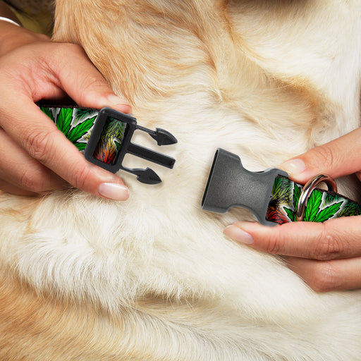 Buckle-Down Plastic Buckle Dog Collar - Marijuana Haze Rasta/White Plastic Clip Collars Buckle-Down   