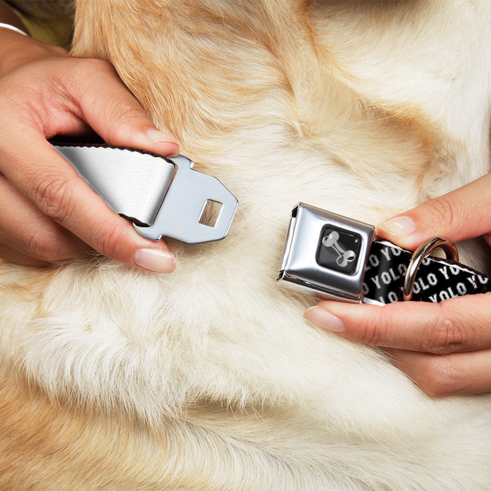 Dog Bone Seatbelt Buckle Collar - YOLO Diagonal Black/Gray/White Seatbelt Buckle Collars Buckle-Down   