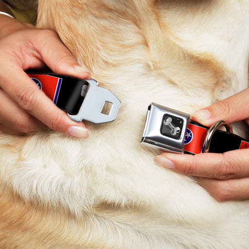 Dog Bone Seatbelt Buckle Collar - Tennessee Flags/Black Seatbelt Buckle Collars Buckle-Down   