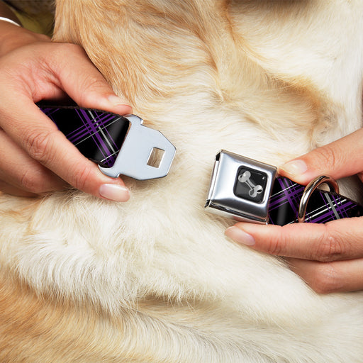 Dog Bone Seatbelt Buckle Collar - Plaid Black/Purple/Gray Seatbelt Buckle Collars Buckle-Down   