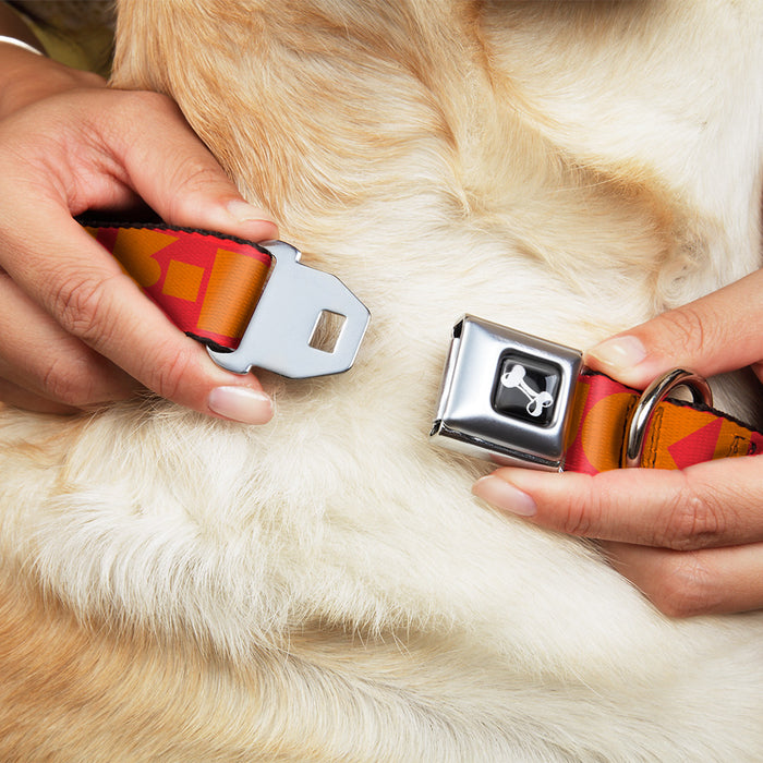 Dog Bone Seatbelt Buckle Collar - BUCKLE-DOWN Shapes Red/Orange Seatbelt Buckle Collars Buckle-Down   