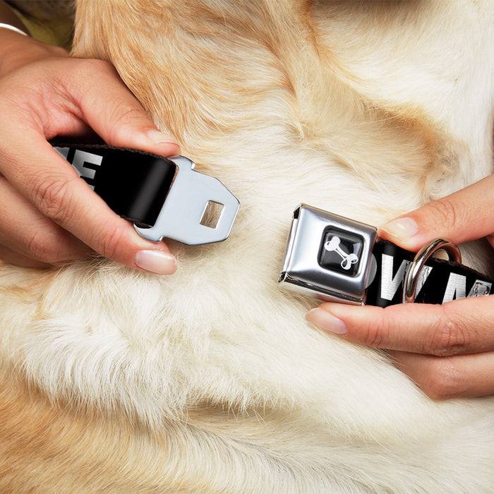 Dog Bone Seatbelt Buckle Collar - DON'T BRO ME IF YOU DON'T KNOW ME Black/White/Red Seatbelt Buckle Collars Buckle-Down   