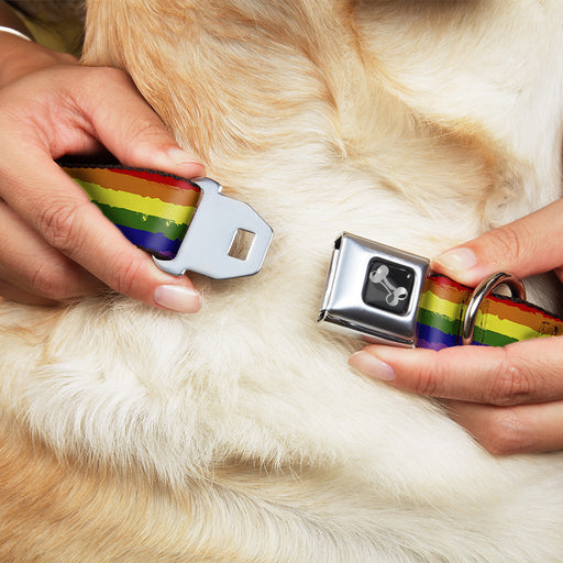 Dog Bone Seatbelt Buckle Collar - Rainbow Stripe Painted Seatbelt Buckle Collars Buckle-Down   