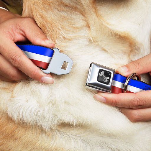 Dog Bone Seatbelt Buckle Collar - Stripes Blue/White/Red Seatbelt Buckle Collars Buckle-Down   