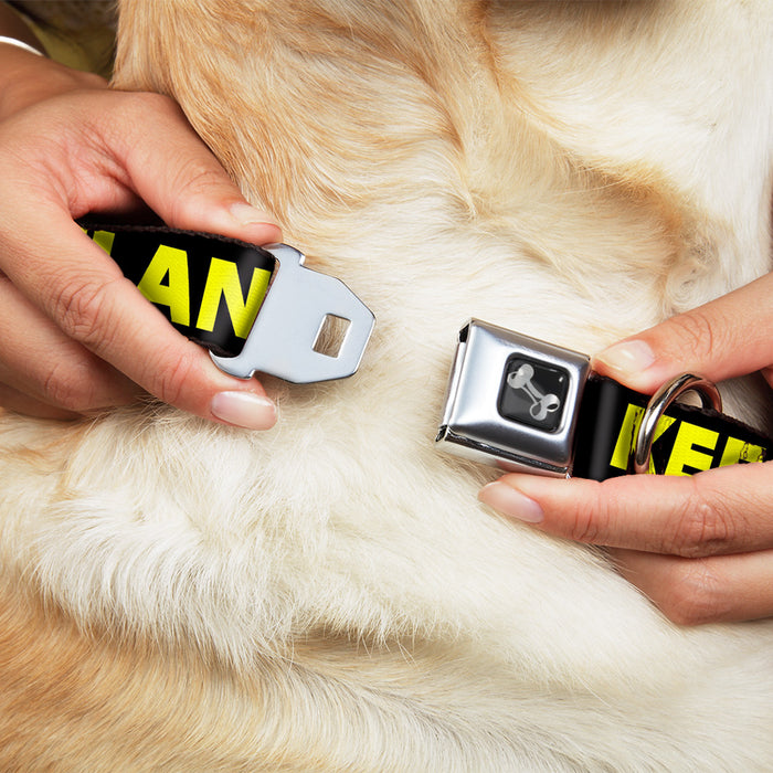 Dog Bone Seatbelt Buckle Collar - KEEP PORTLAND WEIRD Black/Yellow Seatbelt Buckle Collars Buckle-Down   