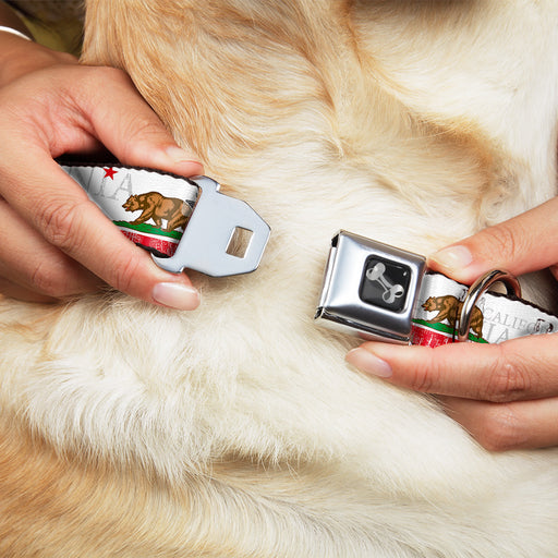 Dog Bone Seatbelt Buckle Collar - CALIFORNIA Bear/Star/Crackle Stripe White/Gray/Red Seatbelt Buckle Collars Buckle-Down   