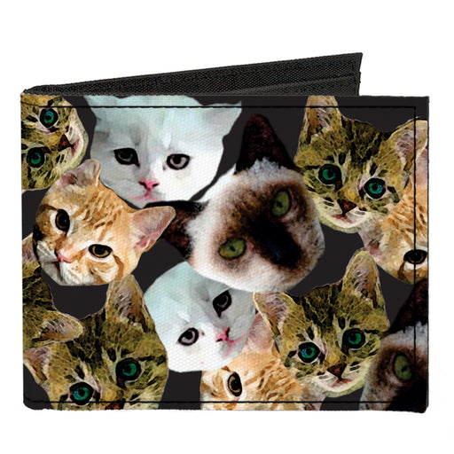 Canvas Bi-Fold Wallet - Kitten Faces Scattered Black Canvas Bi-Fold Wallets Buckle-Down   
