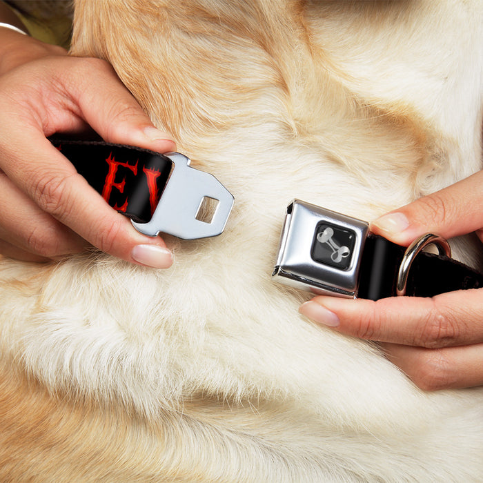 Dog Bone Seatbelt Buckle Collar - Flaming EVIL Black/Red Seatbelt Buckle Collars Buckle-Down   