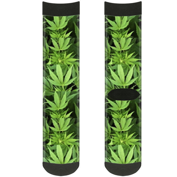 Sock Pair - Polyester - Vivid Marijuana Leaves Stacked3 Greens - CREW Socks Buckle-Down   