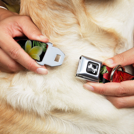 Dog Bone Seatbelt Buckle Collar - Tropical Floral Collage Black/Red/Orange Seatbelt Buckle Collars Buckle-Down   