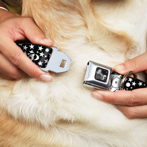 Dog Bone Seatbelt Buckle Collar - Owl Expressions Black/White Seatbelt Buckle Collars Buckle-Down   