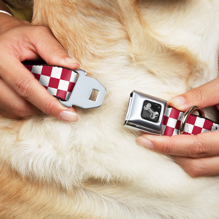 Dog Bone Seatbelt Buckle Collar - Checker Crimson/White Seatbelt Buckle Collars Buckle-Down   