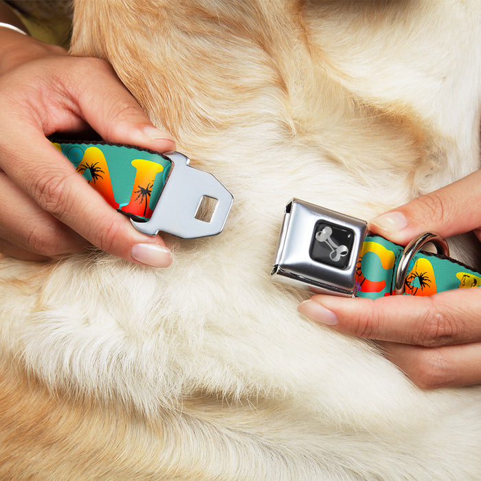 Dog Bone Seatbelt Buckle Collar - CALI Tropical Aqua/Multi Color Seatbelt Buckle Collars Buckle-Down   