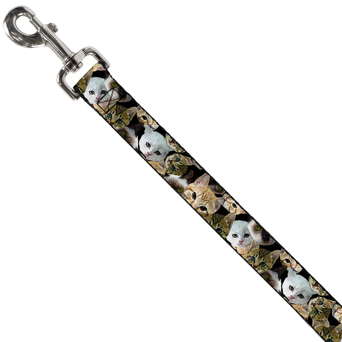 Dog Leash - Kitten Faces Scattered Black Dog Leashes Buckle-Down   