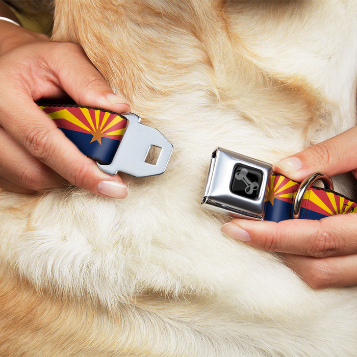 Dog Bone Black/Silver Seatbelt Buckle Collar - Arizona Flag Red/Yellow/Gold/Blue Seatbelt Buckle Collars Buckle-Down   