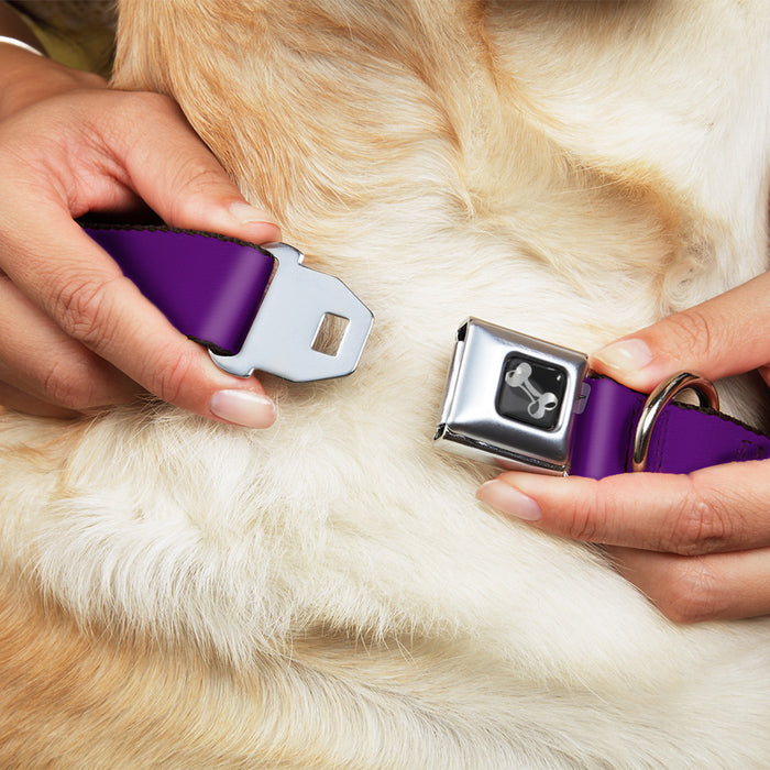 Dog Bone Seatbelt Buckle Collar - Purple Seatbelt Buckle Collars Buckle-Down   