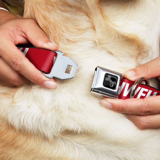 Dog Bone Black/Silver Seatbelt Buckle Collar - YAHWEH Text Red/White Seatbelt Buckle Collars Buckle-Down   