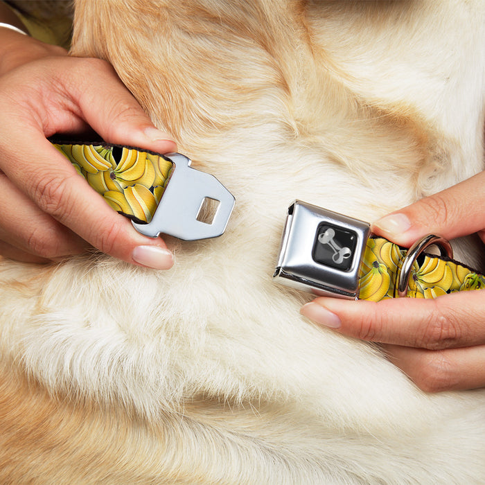 Dog Bone Seatbelt Buckle Collar - Vivid Banana Bunches Stacked Seatbelt Buckle Collars Buckle-Down   