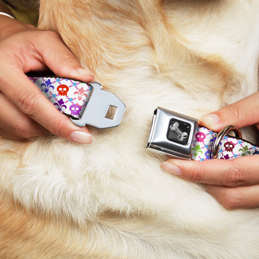 Dog Bone Seatbelt Buckle Collar - Skull & Fleur-de-Lis White/Multi Color Seatbelt Buckle Collars Buckle-Down   