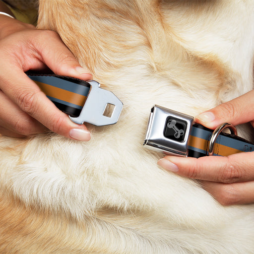 Dog Bone Black/Silver Seatbelt Buckle Collar - Stripes Black/Steel Blue/Orange Seatbelt Buckle Collars Buckle-Down   