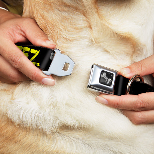 Dog Bone Seatbelt Buckle Collar - STEEZ Brushed Black/Yellow Seatbelt Buckle Collars Buckle-Down   