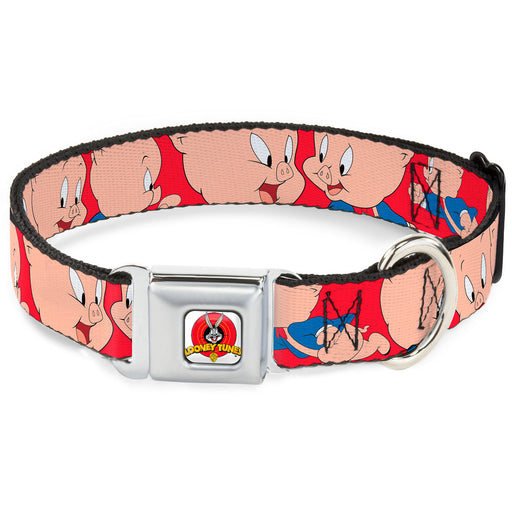 Looney Tunes Logo Full Color White Seatbelt Buckle Collar - Porky Pig Expressions Red Seatbelt Buckle Collars Looney Tunes   