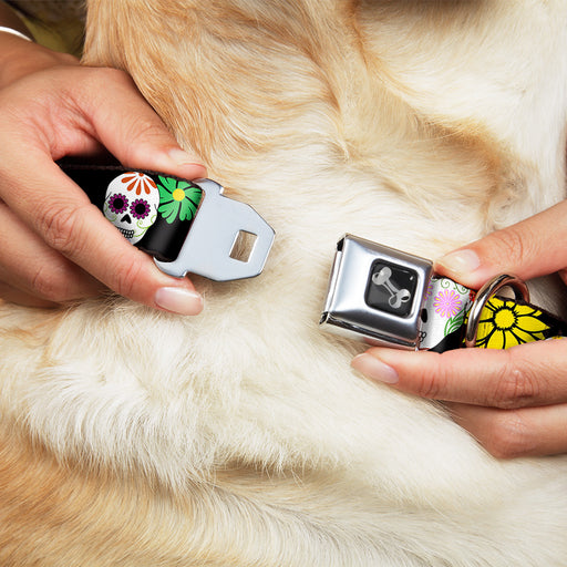 Dog Bone Seatbelt Buckle Collar - Sugar Skulls & Flowers Black/Multi Color Seatbelt Buckle Collars Buckle-Down   