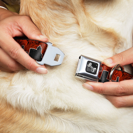 Dog Bone Seatbelt Buckle Collar - Portland Vivid Skyline Red Roses/Black Seatbelt Buckle Collars Buckle-Down   