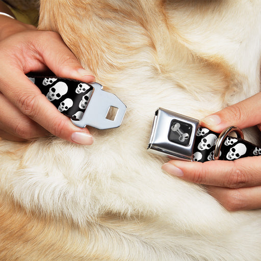 Dog Bone Seatbelt Buckle Collar - Tilted Skulls Black/White Seatbelt Buckle Collars Buckle-Down   